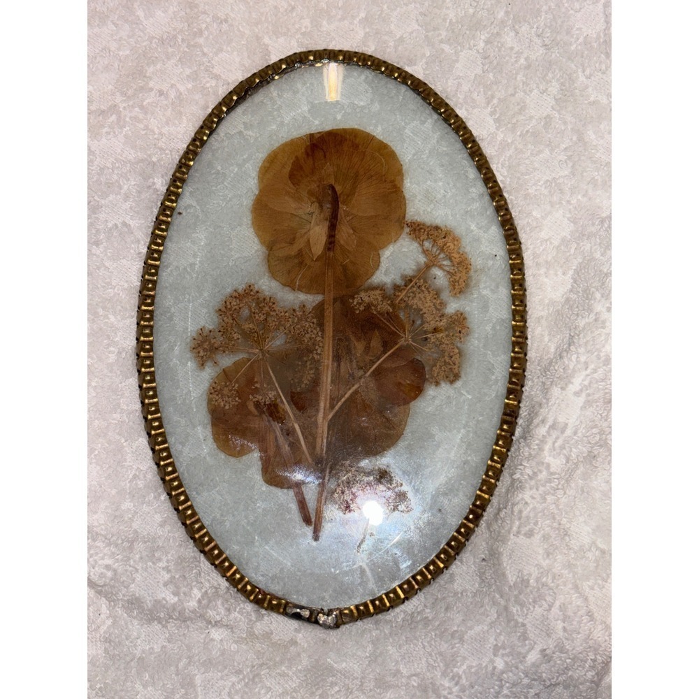 Vintage Pressed Flower Wall Hanging Set Oval Gold Silver Frame Lace Cottagecore
